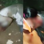 गणेश उत्सव के दौरान डीजे पर नाचने को लेकर भिड़े दो पक्ष, तलवार-चाकू से हमला, एक की मौत