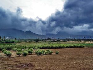 छत्तीसगढ़ मे बढ़ेगी मानसून की रफ्तार : कुछ इलाकों में भारी बारिश की संभावना, 29 के बाद मानसून की विदाई