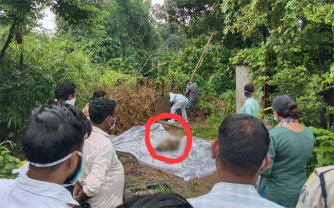 लिव-इन रिलेशनशिप में रह रही महिला की हत्या, सेप्टिक टैंक में छिपाई लाश, सड़ा-गला शव बरामद