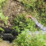 नाले में मिला युवक का शव : इलाके में फैली सनसनी, हत्या या आत्महत्या जांच में जुटी पुलिस