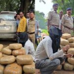 यूपी जा रहे तस्करों की घेराबंदी, पुलिस ने गन्ने के खेत में छिपे 2 आरोपियों को पकड़ा, 138 किलो गांजा जब्त