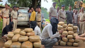 यूपी जा रहे तस्करों की घेराबंदी, पुलिस ने गन्ने के खेत में छिपे 2 आरोपियों को पकड़ा, 138 किलो गांजा जब्त