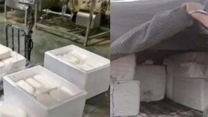 प्‍लाईवुड फैक्ट्री की आड़ में बन रहा था एनालॉग पनीर, खाद्य विभाग ने साढ़े 6 क्विंटल किया जब्त