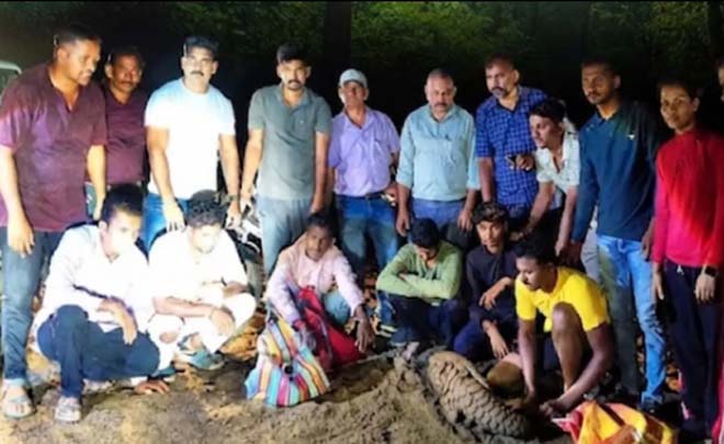 टाइगर रिजर्व से तस्करी : बाघ की हड्डियां दांत और दो जिंदा पैंगोलिन बरामद