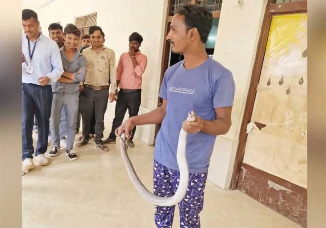 रेस्क्यू के दौरान स्नेक कैचर को सांप ने डसा, इलाज के दौरान हुई मौत, इलाके मे पसरा मातम