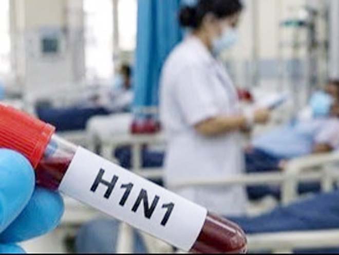 बिलासपुर में स्वाइन फ्लू के 7 मरीज मिले, स्वास्थ्य विभाग अलर्ट, बच्चे, बुजुर्ग और गंभीर बीमारी वाले रहें सतर्क