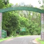 सैलानियों के लिए खुशखबरी : एक नवंबर से खुलेगा अचानकमार टाइगर रेजर्व का गेट, 100 से अधिक की ऑनलाइन बुकिंग