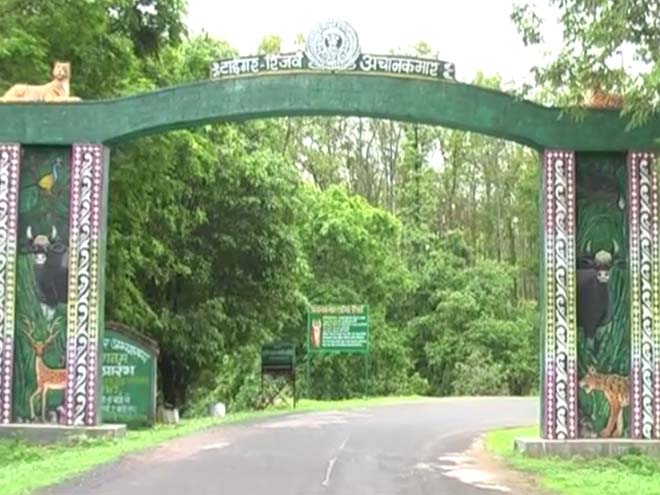 सैलानियों के लिए खुशखबरी : एक नवंबर से खुलेगा अचानकमार टाइगर रेजर्व का गेट, 100 से अधिक की ऑनलाइन बुकिंग