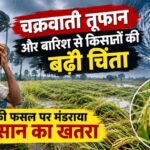 चक्रवाती तूफान और बारिश से किसानों की बढ़ी चिंता, धान की फसल पर मंडराया नुकसान का खतरा