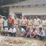 वन-विभाग की बड़ी कार्रवाई : पैंगोलिन तस्करी का किया खुलासा, खाल के साथ 6 आरोपी गिरफ्तार
