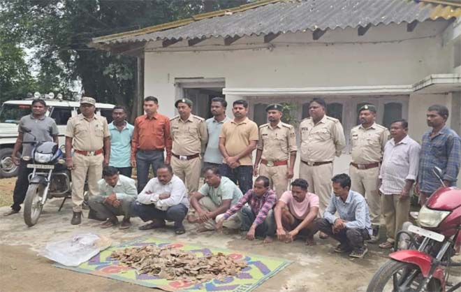 वन-विभाग की बड़ी कार्रवाई : पैंगोलिन तस्करी का किया खुलासा, खाल के साथ 6 आरोपी गिरफ्तार